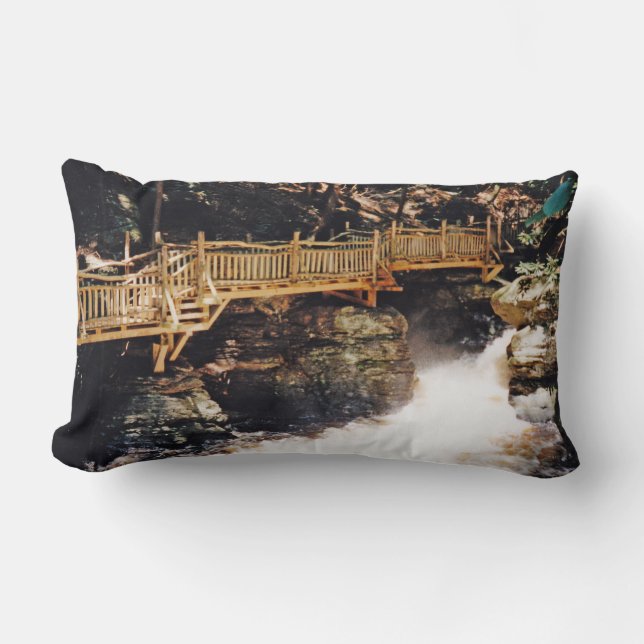 Cojín Lumbar Sendero peligroso (Anverso)