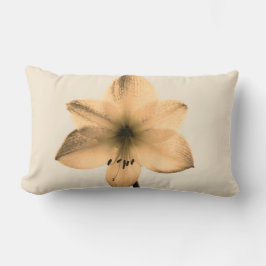 Cojín Lumbar sepia amaryllis