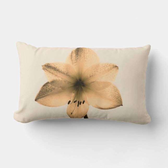 Cojín Lumbar sepia amaryllis (Anverso)