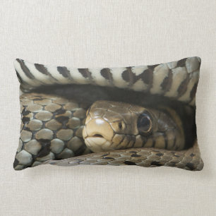 Cojín Lumbar Serpiente