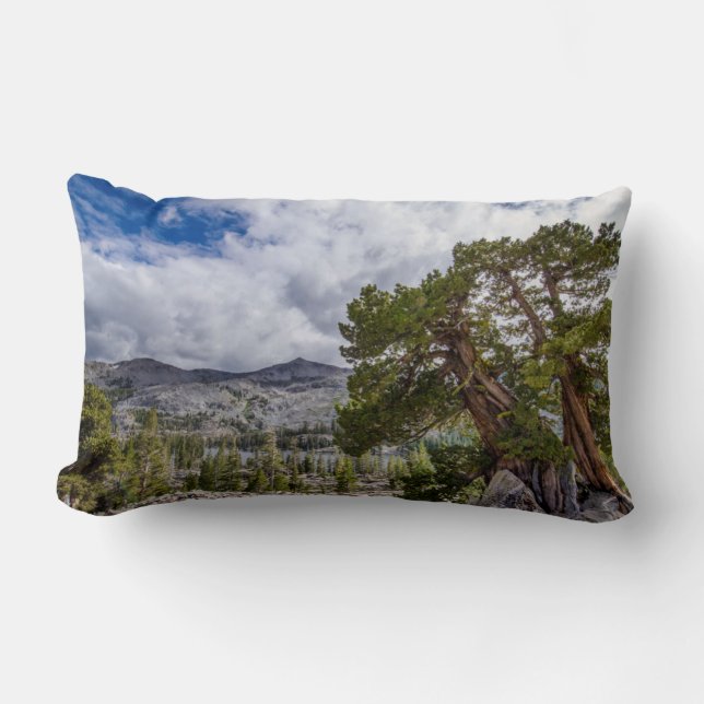 Cojín Lumbar Sierra Juniper y Árboles Eververdes (Anverso)