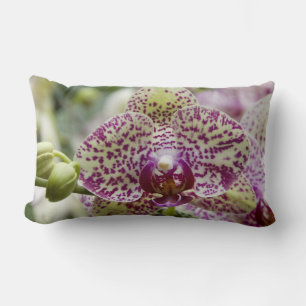 Cojín Lumbar Singapur (Sanskrit por Ciudad León). Nacional