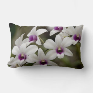 Cojín Lumbar Singapur (Sanskrit por Ciudad León). Nacional 2