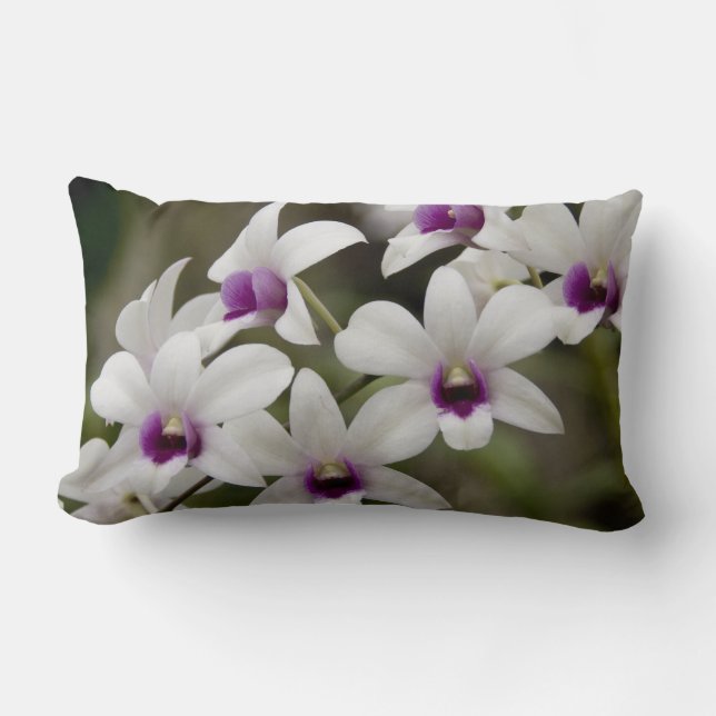 Cojín Lumbar Singapur (Sanskrit por Ciudad León). Nacional 2 (Anverso)