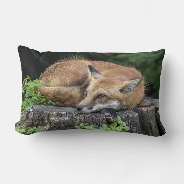 Cojín Lumbar Sleepy Red Fox (Anverso)