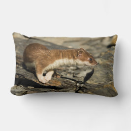 Cojín Lumbar Sniffing Weasel