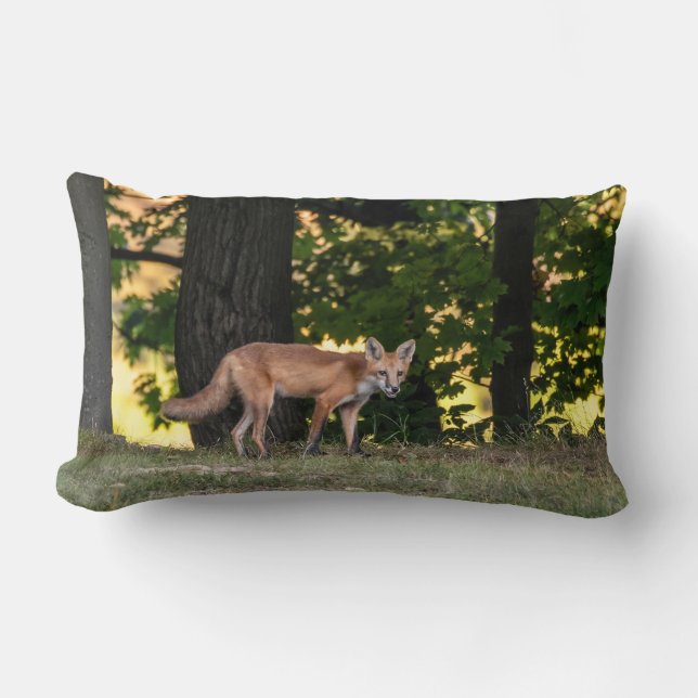 Cojín Lumbar Sol Y Sombra De Fox Rojo (Anverso)