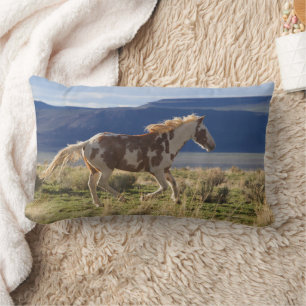 Cojín Lumbar Stallion en marcha, montañas Steens, Oregón