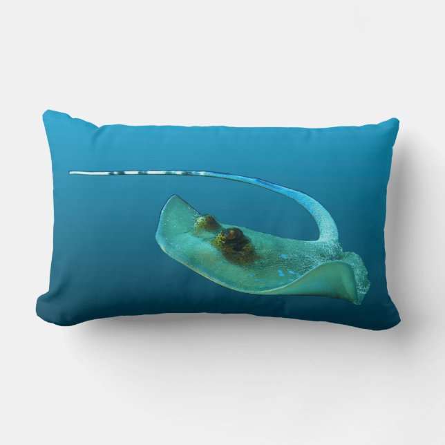 Cojín Lumbar ¡Stingray en movimiento! Fondo azul gradiente | (Anverso)