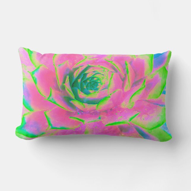 Cojín Lumbar Suculento rosette de sedum verde limón y rosa (Anverso)