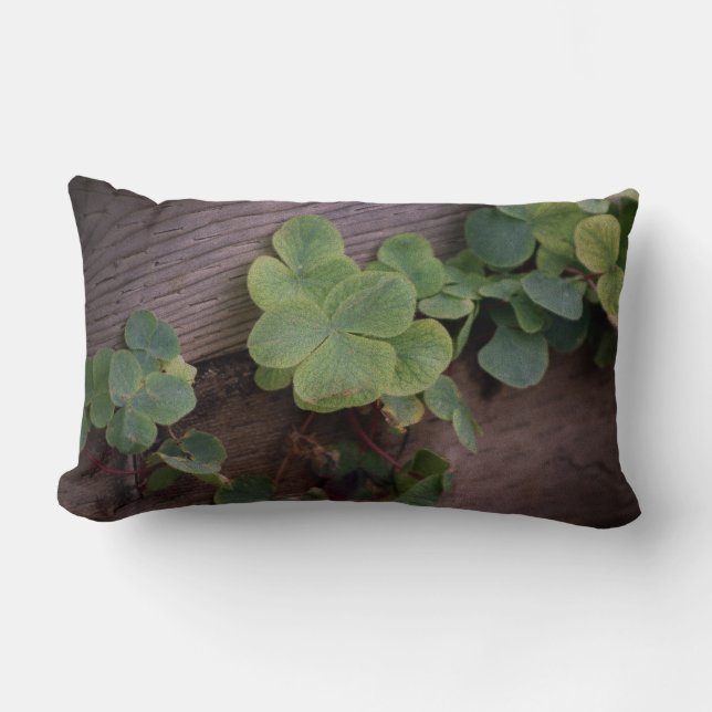 Cojín Lumbar ¿Suertudo o determinado? Día de San Patrón Shamroc (Anverso)