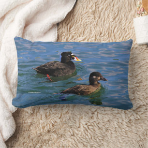 Cojín Lumbar Surf Scoter Ducks macho y hembra en el muelle