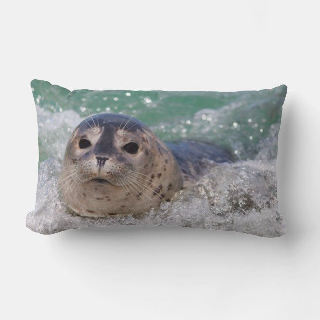 Cojín Lumbar Surfista de focas para bebés (Anverso)