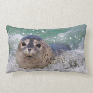 Cojín Lumbar Surfista de focas para bebés