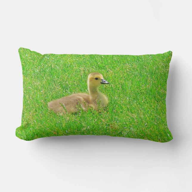 Cojín Lumbar Throw Pillow   Canada Goose (Anverso)