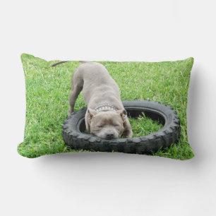 Cojín Lumbar Tiempo de juego del Blue Staffordshire Bull Terrie