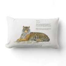 Tigre de Bengala pintado a mano majestuosa