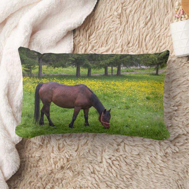 Cojín Lumbar Tihuta Pass, Horse in Pasture (Manta)