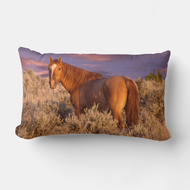 Cojín Lumbar Torneo de Harney (Anverso)