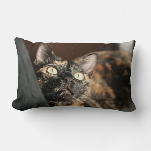 Cojín Lumbar tortie cat pillow (Anverso)
