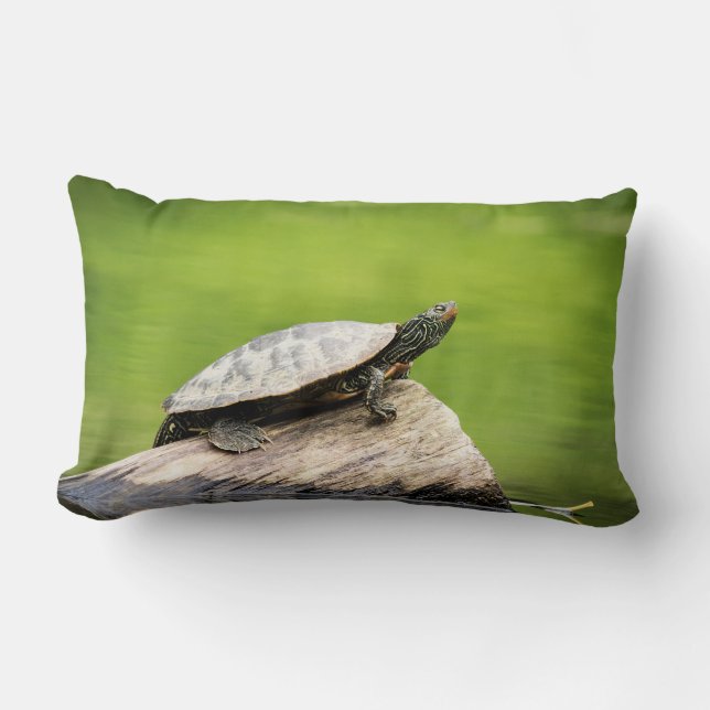 Cojín Lumbar Tortuga pintada en un tronco (Anverso)