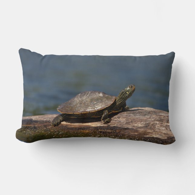 Cojín Lumbar Tortuga pintada en un tronco (Anverso)