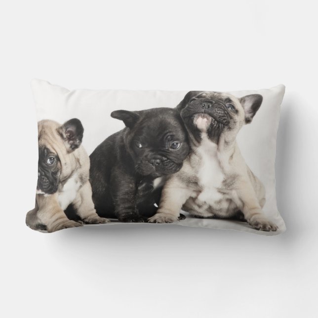 Cojín Lumbar Tres cachorros Pug (Anverso)