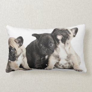 Cojín Lumbar Tres cachorros Pug