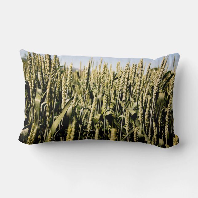 Cojín Lumbar Trigo (Reverso )