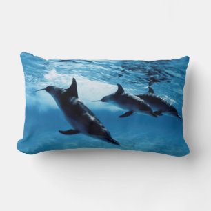 Cojín Lumbar Trío de delfines