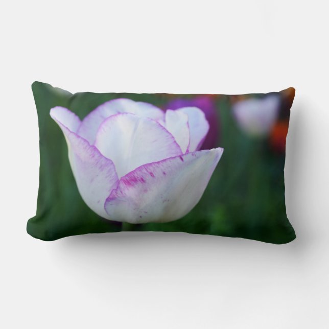 Cojín Lumbar Tulipanes de primavera (Anverso)