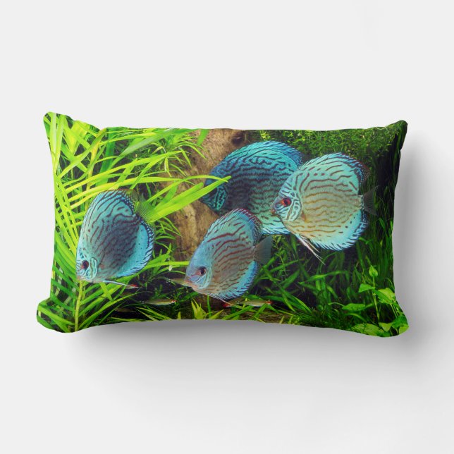Cojín Lumbar Turquoise Blue Discus (Anverso)