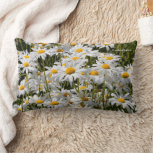 Cojín Lumbar Un campo de Oxeye Daisies