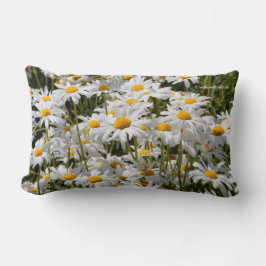 Cojín Lumbar Un campo de Oxeye Daisies