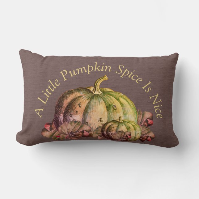 Cojín Lumbar Un poco de especias de calabaza es agradable" Deco (Anverso)
