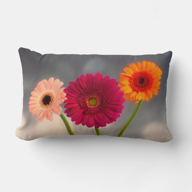 Cojín Lumbar Un trío del Cushión Lumbar de Gerberas (Anverso)