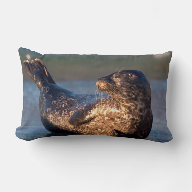 Cojín Lumbar Una cría de foca levantando la cola (Anverso)