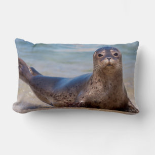 Cojín Lumbar Una foca en una playa a lo largo de la Costa Pacíf