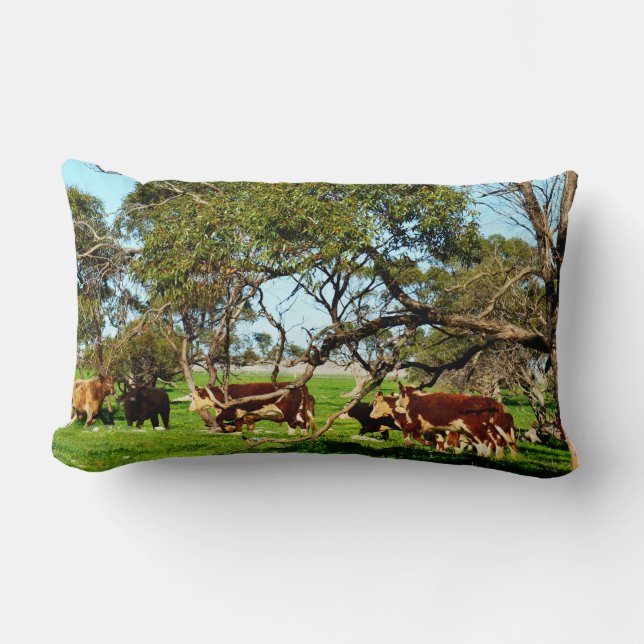 Cojín Lumbar Vacas De La Cordillera, (Anverso)
