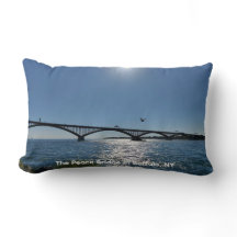 Viajes locales de una gaviota