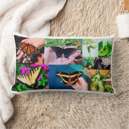 Cojín Lumbar Vida de mariposa