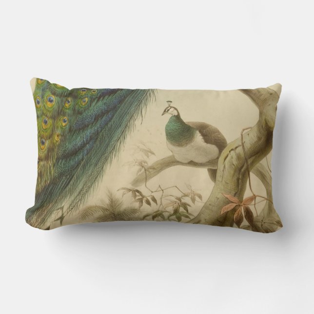 Cojín Lumbar Vintage Peacock Lumbar Pillow (Anverso)