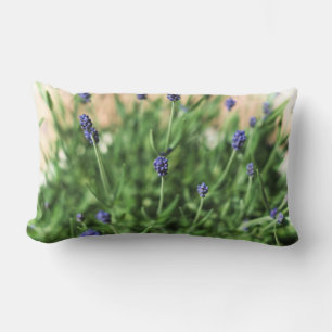 Cojín Lumbar Violets Pillow