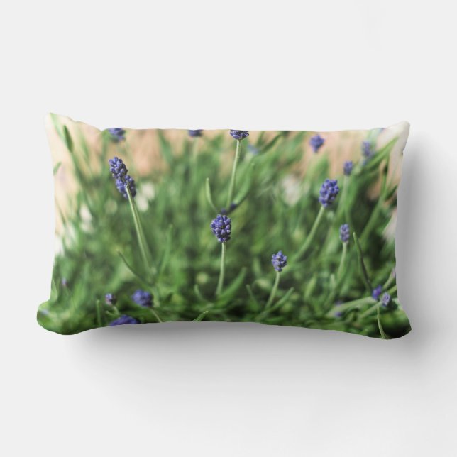 Cojín Lumbar Violets Pillow (Anverso)
