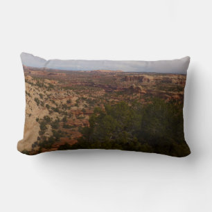Cojín Lumbar Vista de Canyonlands desde el sendero Neck Springs