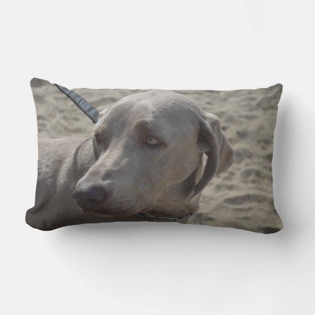Cojín Lumbar Weimaraner dulce (Anverso)