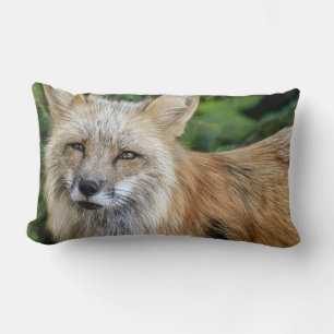 Cojín Lumbar Wild Fox
