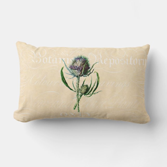 Cojín Lumbar Wildflower de la antigüedad del cardo del escocés (Anverso)