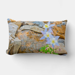 Cojín Lumbar Wyoming, Parque Nacional Grand Teton 1