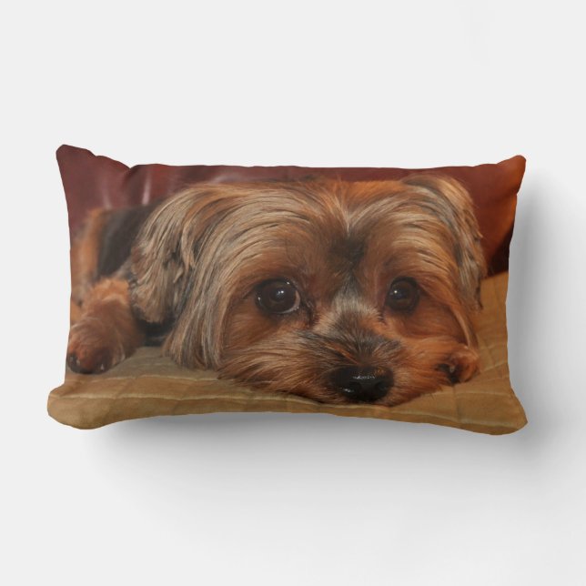 Cojín Lumbar Yorkshire Terrier Lumbar Pillow (Anverso)